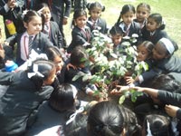 SMS, Girls School - Visit to Botanical Garden : Click to Enlarge