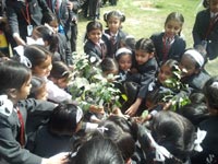 SMS, Girls School - Visit to Botanical Garden : Click to Enlarge