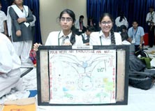 SMS, Girls School - Reflection 2015 : 13th Geofest and National Geography Olympiad 2015 : Click to Enlarge