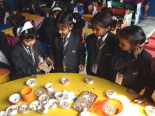 St. Mark's Girls School, Meera Bagh - Germination activity for Class Seedling : Click to Enlarge