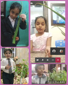 St. Mark's Girls School, Meera Bagh - Virtual Activity by students of Class Sapling : Click to Enlarge