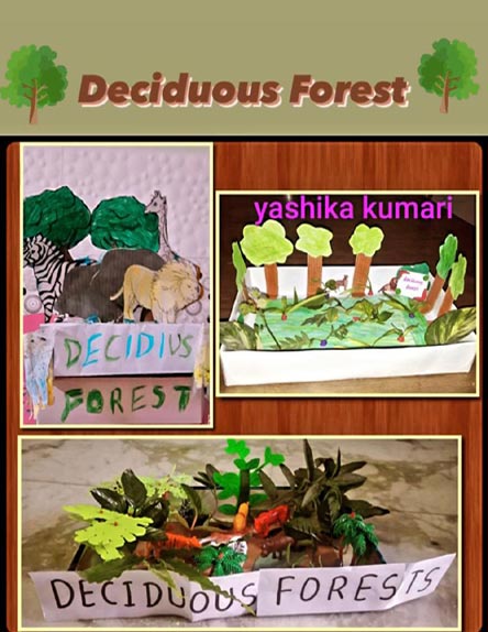 St. Mark's Girls School, Meera Bagh - World Forestry Day activity by Class 4 : Click to Enlarge