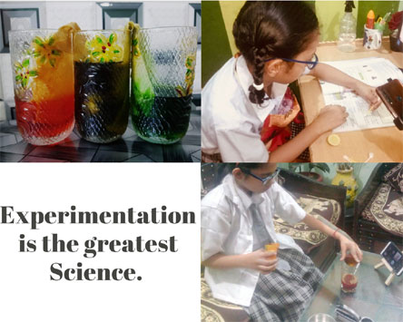 St. Mark's Girls School, Meera Bagh - Be A Scientist Activity by students of Class V : Click to Enlarge