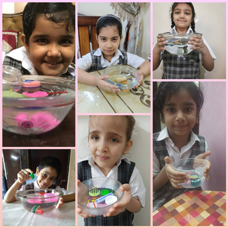 St. Mark's Girls School, Meera Bagh - Sink and Float Activity by Class 1 : Click to Enlarge