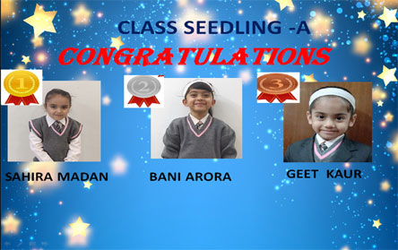 St. Mark's World School, Meera Bagh - Intra Class Competition Winners by Class Seedling : Click to Enlarge