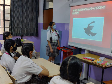 St. Mark's World School, Meera Bagh - Awareness on ban on Chinese manjha  : Click to Enlarge