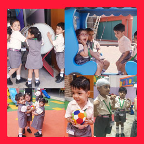 St. Mark's World School, Meera Bagh - Class Seedling Activity : Click to Enlarge