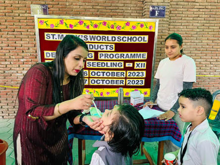 St. Mark's World School: Deworming Campaign : Click to Enlarge