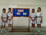 St. Mark's Girls School, Meera Bagh - G. K. Quiz for Classes VI to VIII : Click to Enlarge