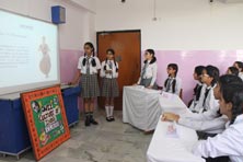 St. Mark's Girls School, Meera Bagh - Quiz for Class VIII : Culture of India : Click to Enlarge