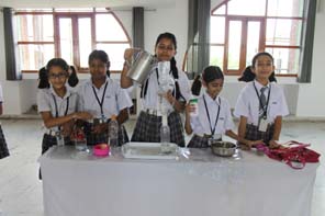 SMS Girls School - Science Quest 2015 for Classes VI - XII : Click to Enlarge