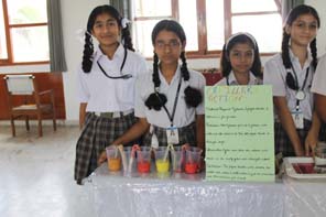 SMS Girls School - Science Quest 2015 for Classes VI - XII : Click to Enlarge