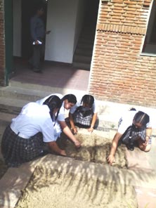 SMS Girls School, Meera Bagh - Plantation of Vegetables as part of Navdanya : Click to Enlarge