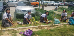 St. Mark's Girls School, Meera Bagh - Pro Socio Peer Moderator Programme : Click to Enlarge