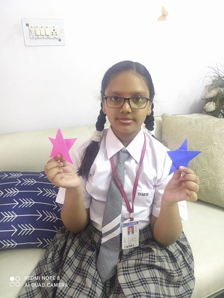 St. Mark's Girls School, Meera Bagh - Online Origami Workshop for Class 6 : Click to Enlarge