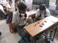 SMS, Girls School - Sewa Activity : Click to Enlarge