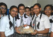 SMS Girls School - Earth Day Nest Activities : Click to Enlarge