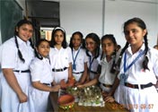 SMS Girls School - Earth Day Nest Activities : Click to Enlarge