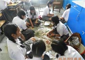 SMS Girls School - Earth Day Nest Activities : Click to Enlarge