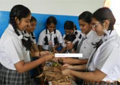 SMS Girls School - Earth Day Nest Activities : Click to Enlarge