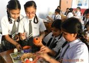 SMS Girls School - Earth Day Nest Activities : Click to Enlarge