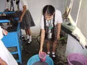 SMS Girls School - Paper Recycling Unit : Click to Enlarge