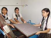 SMS Girls School - Paper Recycling Unit : Click to Enlarge