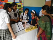 St. Mark's Girls School, Meera Bagh - Exhibition : Click to Enlarge